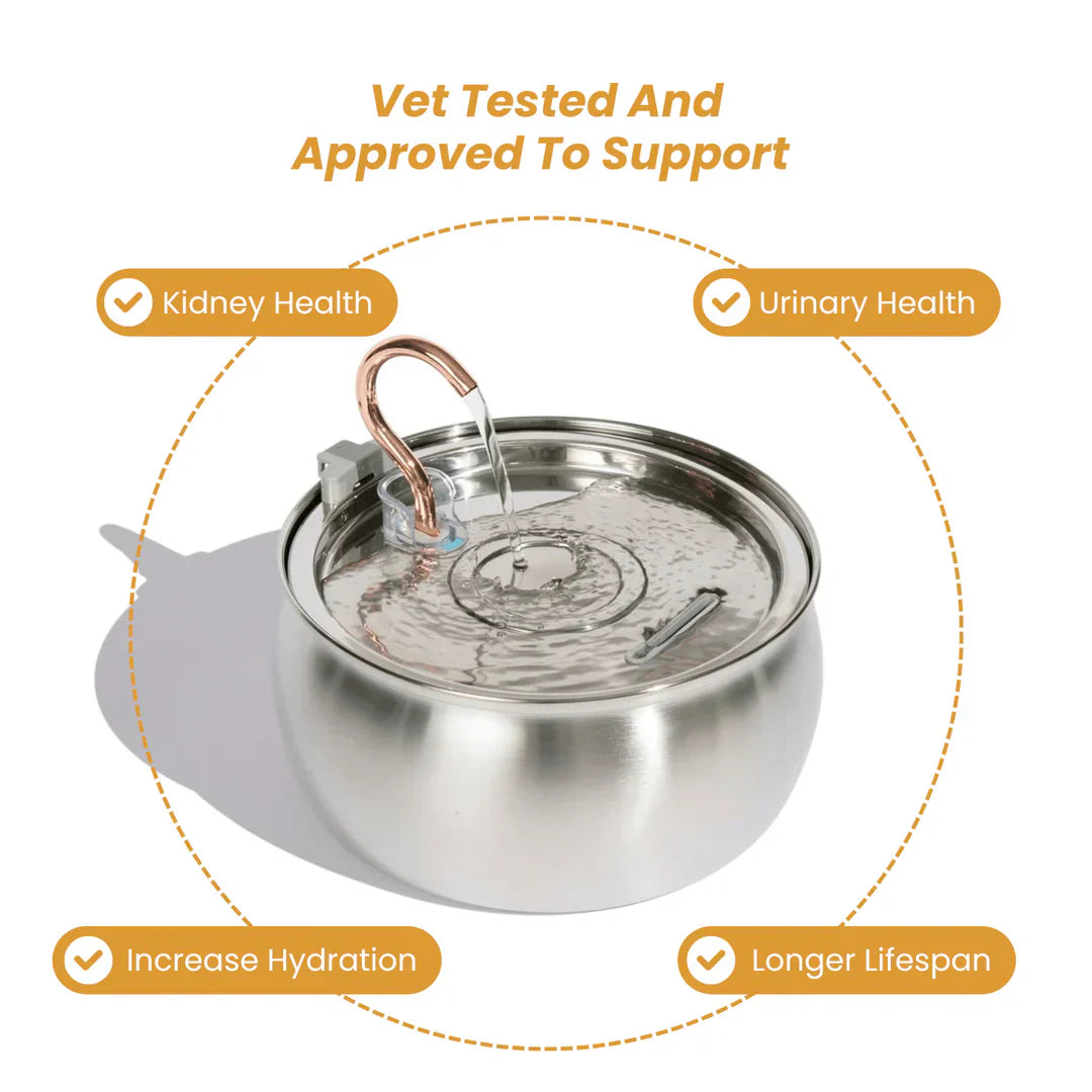 Health & Happiness Cat Fountain